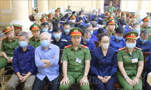 Xét xử vụ án Vạn Thịnh Phát: Trương Mỹ Lan xin tòa miễn án phạt cho chồng, cháu ruột