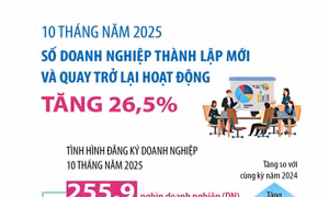 10 tháng năm 2025, số doanh nghiệp thành lập mới và quay trở lại hoạt động tăng 26,5%