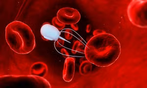 Robot DNA siêu nhỏ săn lùng virus và đưa thuốc vào cơ thể
