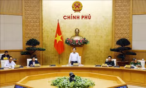 Kiểm tra việc đào tạo, sát hạch cấp Giấy phép lái xe đường bộ