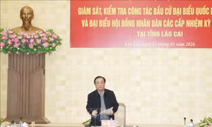 Lào Cai chủ động, nghiêm túc trong chuẩn bị bầu cử