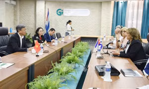 Thúc đẩy thành lập liên doanh Việt Nam - Cuba trong lĩnh vực sản xuất và thương mại