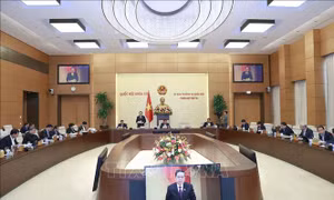 UBTV Quốc hội cho ý kiến về dự thảo Luật Khám bệnh, chữa bệnh (sửa đổi)