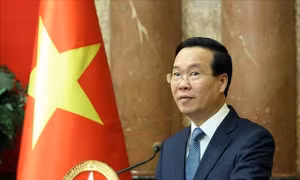 Nhân Chuyến thăm của Chủ tịch nước tới Áo, Italy và Tòa thánh Vatican: Làm sâu sắc hơn quan hệ hợp tác song phương