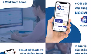 Thanh niên Thủ đô ứng dụng CNTT trong phòng, chống dịch COVID-19