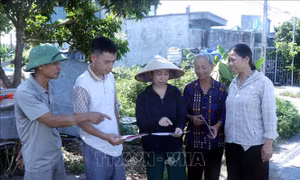 Chính quyền giao đất khi mặt bằng chưa sạch, người dân vướng vào tình cảnh trớ trêu