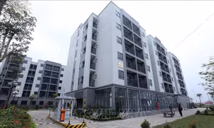 Ba luật liên quan đến bất động sản có hiệu lực giúp quản lý hiệu quả nguồn lực đất đai 