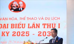 Nhiều đóng góp hữu ích, thiết thực để phát triển văn hóa, nghệ thuật 
