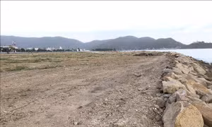 Rà soát nội dung dự thảo Nghị định về hoạt động lấn biển