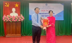 Công bố, trao quyết định về cán bộ Bảo hiểm xã hội khu vực XXX