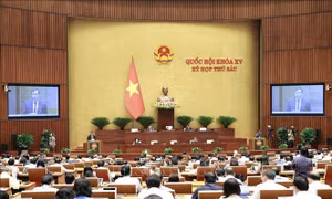 Đổi tên 'căn cước công dân' thành 'căn cước' không phát sinh thủ tục