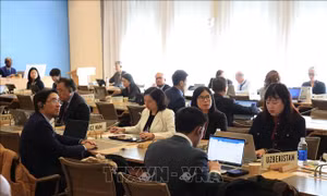 Việt Nam chia sẻ thực tiễn về quy tắc xuất xứ đối với hàng hóa xuất khẩu tại WTO
