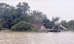 Thích ứng thiên tai 'vượt quy luật' - Bài 1: Hành động trước thách thức cực đoan
