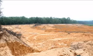 Quảng Trị: Chấn chỉnh tình trạng đào đất rừng đem bán ở xã Vĩnh Chấp