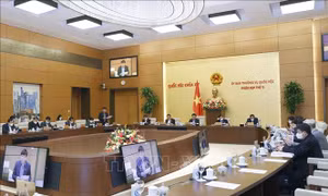 Tăng tính chủ động, chuyên nghiệp trong hoạt động của Ủy ban Thường vụ Quốc hội