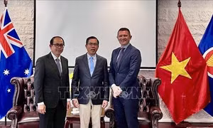 Việt Nam và Australia đẩy mạnh hợp tác phát triển lúa gạo