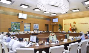 Đảm bảo an ninh, tính bền vững trong phát triển năng lượng