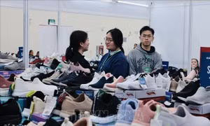 Những bài học kinh nghiệm từ Ai Cập và triển vọng hợp tác