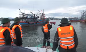 Quảng Trị cấm biển từ 7 giờ ngày 24/8 để ứng phó bão số 5