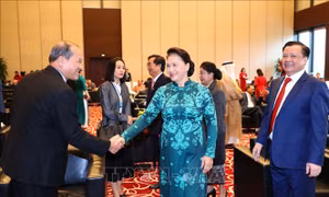 Khai mạc trọng thể Đại hội ASOSAI 14