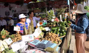 Nhiều hoạt động đặc sắc tại Ngày hội du lịch K'bang 