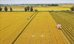Chuyển đổi số hướng tới nông thôn mới thông minh