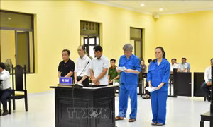 Nguyên Giám đốc Vườn Quốc gia Mũi Cà Mau lĩnh án 21 năm tù