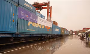 Việt Nam và vùng Viễn Đông của Nga: Các triển vọng hợp tác