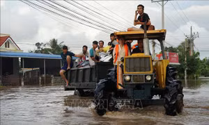 Lâm Đồng: Mưa lớn, lũ dâng nhanh, khẩn trương di dời người dân về nơi an toàn