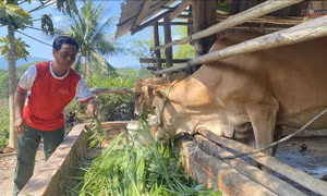 Trao sinh kế để người dân thoát nghèo bền vững