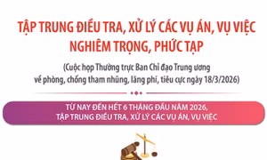 Tập trung điều tra, xử lý các vụ án, vụ việc nghiêm trọng, phức tạp