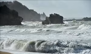 Bão Chido gây thiệt hại nghiêm trọng tại vùng lãnh thổ thuộc Pháp
