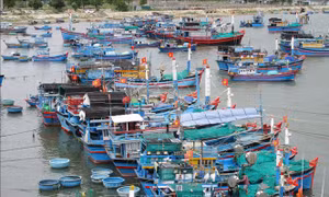 Ninh Thuận nghiêm cấm tàu thuyền ra khơi, hoạt động trên biển