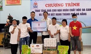 Tuổi trẻ Đà Nẵng triển khai nhiều hoạt động tình nguyện vì an sinh xã hội