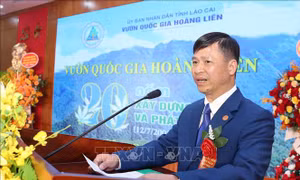 Vườn Quốc gia Hoàng Liên tận dụng tối đa nguồn lực bảo vệ, phát triển rừng