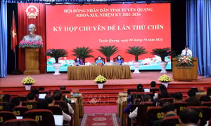Sớm ổn định đời sống người dân bị ảnh hưởng thiên tai