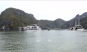 Cát Bà, Đồ Sơn sẵn sàng đón khách du lịch