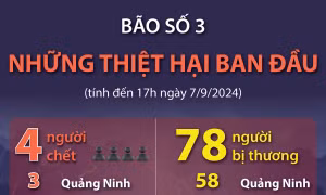 Bão số 3: Bốn người chết, 78 người bị thương (tính đến 17h ngày 7/9)