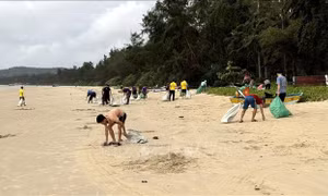 Chung tay làm sạch bãi biển trên đảo Cô Tô