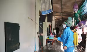 Khoanh vùng, dập tắt ổ dịch sốt xuất huyết tại phường Vũng Áng, Hà Tĩnh