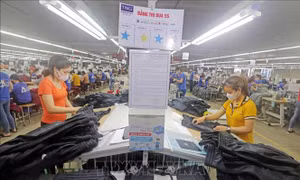 Ngành dệt may trong bối cảnh mới - Bài 1: Thách thức và cơ hội đan xen