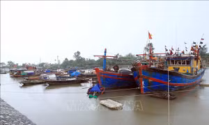 Hải Phòng, Thái Bình chủ động ứng phó với bão số 5