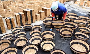 Những triệu phú biến 'cỏ' thành 'đô'