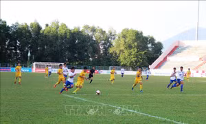 Thanh Hóa vô địch Giải bóng đá Vô địch U17 Quốc gia - Next Media 2019