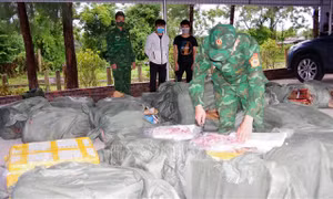 Bắt giữ số lượng lớn thực phẩm không rõ nguồn gốc nhập lậu