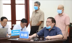 Xét xử vụ án Đinh Ngọc Hệ và đồng phạm: Giám đốc doanh nghiệp nhưng không biết bản chất hợp đồng