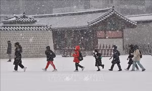 Hàn Quốc trải qua mùa Đông 'lạ'