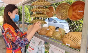 Gắn Chương trình mỗi xã một sản phẩm với tái cơ cấu lại nông nghiệp