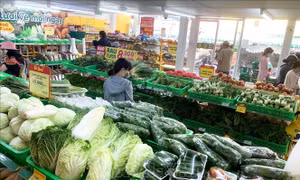Đưa hàng Việt tiêu chuẩn xuất khẩu vào kênh bán lẻ nội địa