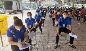 Hỗ trợ gần 150 tỷ đồng cho người lao động bị ảnh hưởng dịch COVID-19